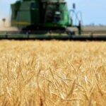frontline ag solutions