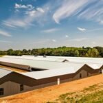 ozark ag carthage ms