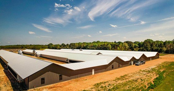 ozark ag carthage ms